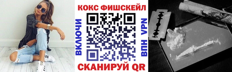 купить наркотик  Ясногорск  Cocaine FishScale 
