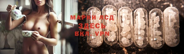 стаф Корсаков