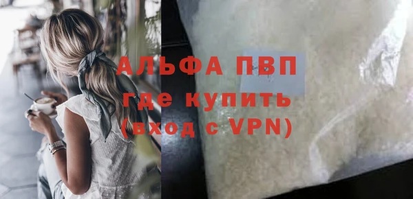 стаф Корсаков