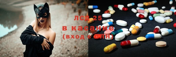 стаф Корсаков