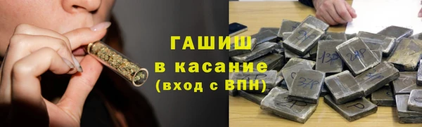 стаф Корсаков
