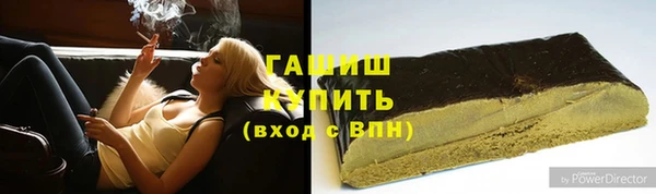 стаф Корсаков