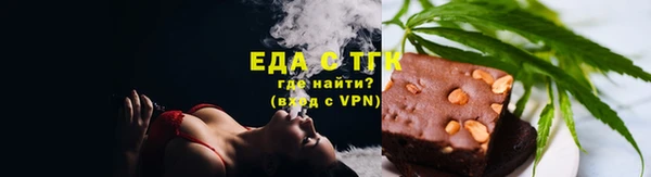 стаф Корсаков
