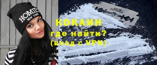 стаф Корсаков