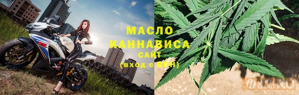 стаф Корсаков