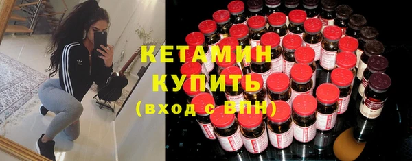стаф Корсаков