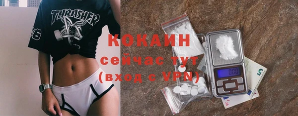 стаф Корсаков