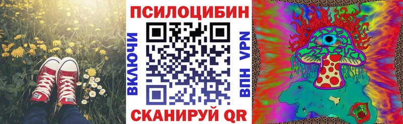Галлюциногенные грибы Psilocybe  Ясногорск 